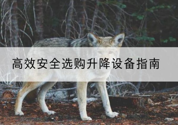 南通升降货梯厂家推荐-*安全选购升降设备指南