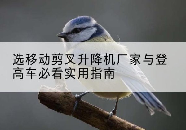 南通电动升降机厂家-选移动剪叉升降机厂家与登高车必看实用指南